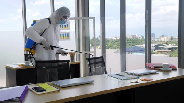 Protégez vos câbles informatiques : les dégâts des rats et l'importance de la dératisation